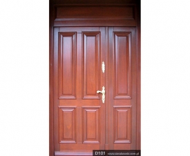 Drzwi frontowe D101