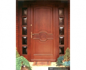 Drzwi frontowe D61