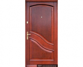 Drzwi frontowe D21